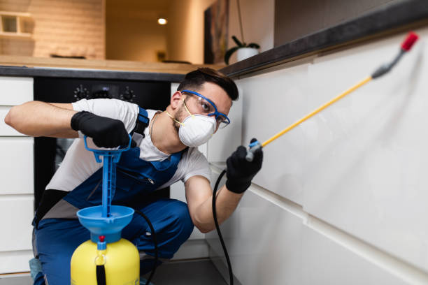 Best Mosquito Control Services  in St Petersburg, FL
