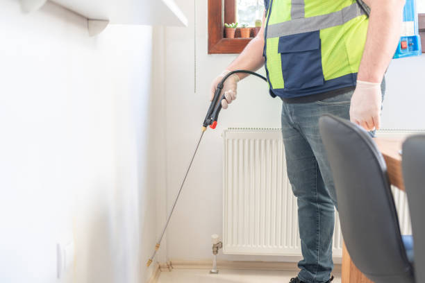 Best Residential Pest Control  in St Petersburg, FL