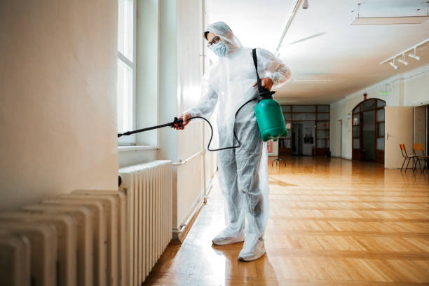 Best Exterminator Services  in St Petersburg, FL